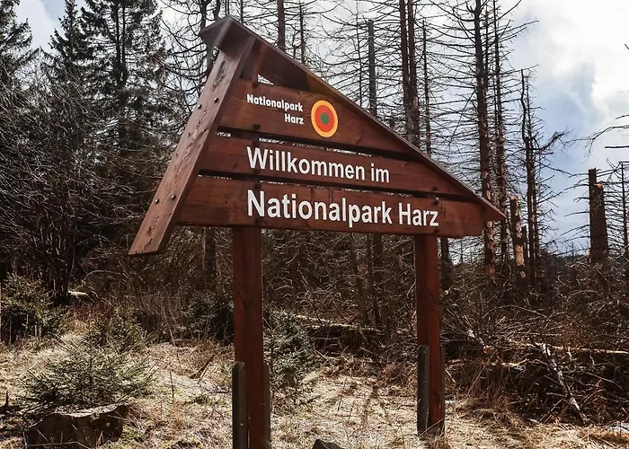 度假居 Neu Inner Light, Mit Privater Sauna Und Schnellen Internet, Luxurioeses Im Harz *