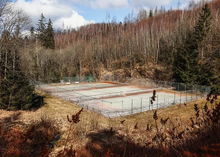 Neu Inner Light, Mit Privater Sauna Und Schnellen Internet, Luxurioeses Im Harz 阿尔特瑙